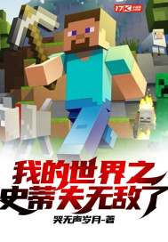 我的世界之史蒂夫無敵了小說