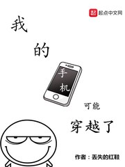 我的手機可能穿越了小說