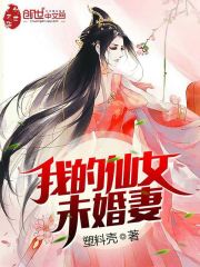 我的仙女未婚妻小說