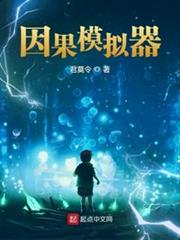 我的因果模擬器小說