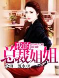我的總裁姐姐小說