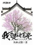 我哥是諸葛亮小說