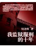 我監獄服刑的十年小說