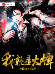 我就是大牌小說