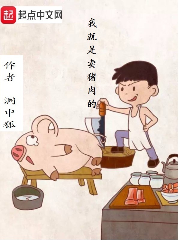 我就是賣豬肉的小說