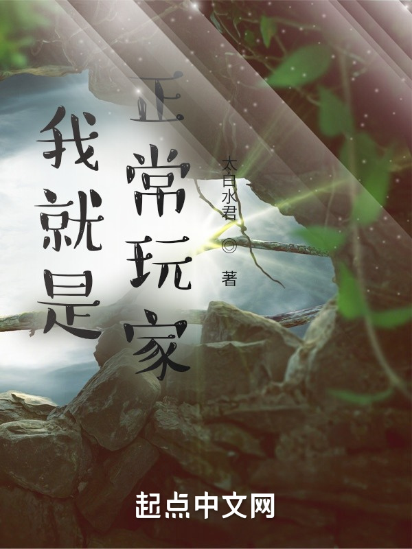 我就是正常玩家！小說