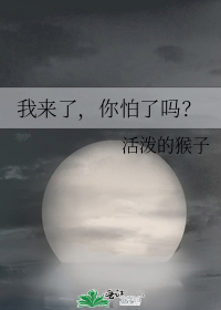 我來了，你怕了嗎？小說