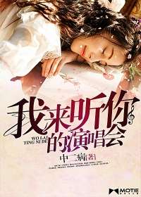 我來聽你的演唱會小說