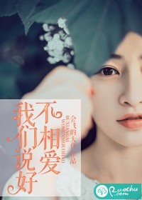 我們說好不相愛小說