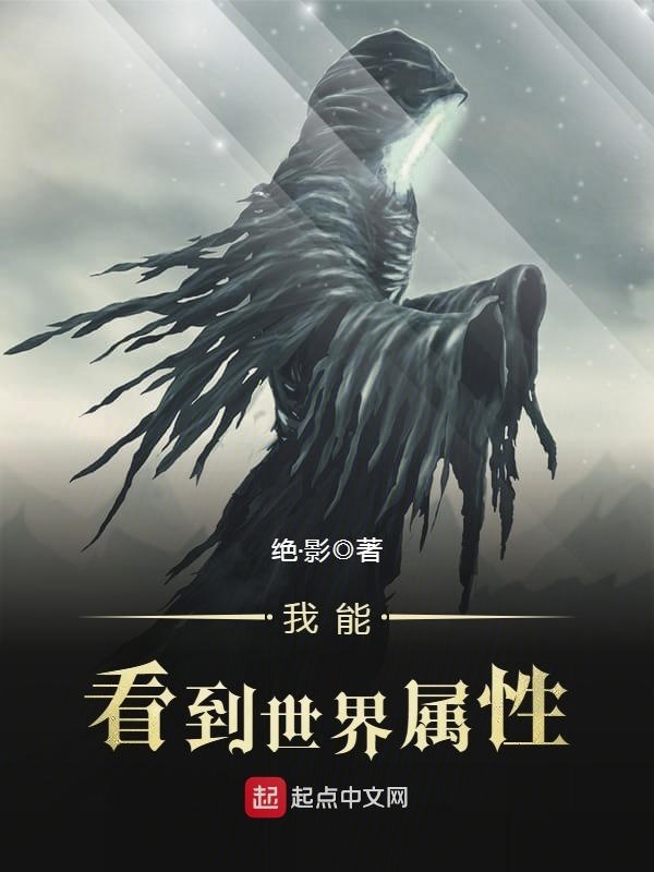 我能看到世界屬性小說