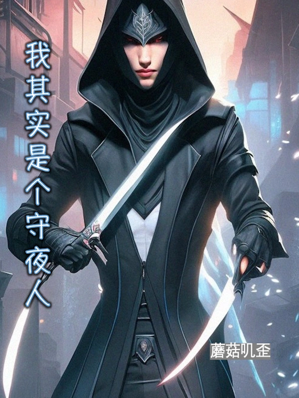 我其實是個守夜人小說