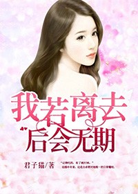 我若離去，後會無期小說
