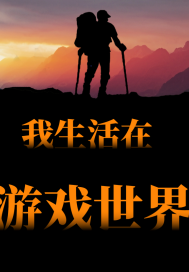 我生活在遊戲世界小說