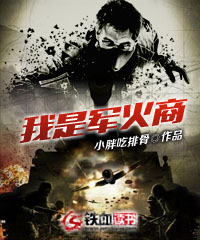 我是軍火商小說