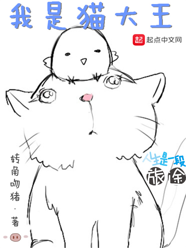 我是貓大王小說