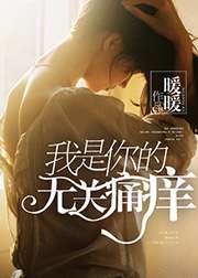 我是你的無關痛癢小說