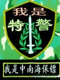 我是特警小說