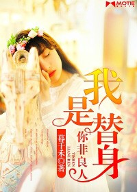 我是替身，你非良人小說