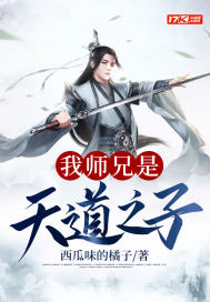 我師兄是天道之子小說