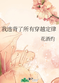 我違背了所有穿越定律小說