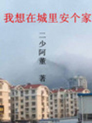 我想在城裡安個家小說