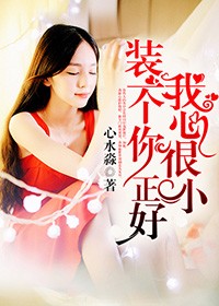 我心很小，裝一個你正好小說