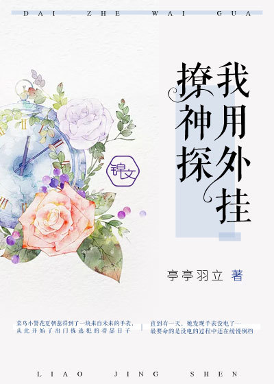 我用外掛撩神探小說
