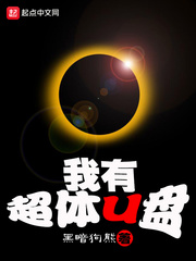 我有超體U盤小說
