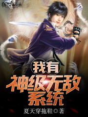 我有神級無敵系統小說