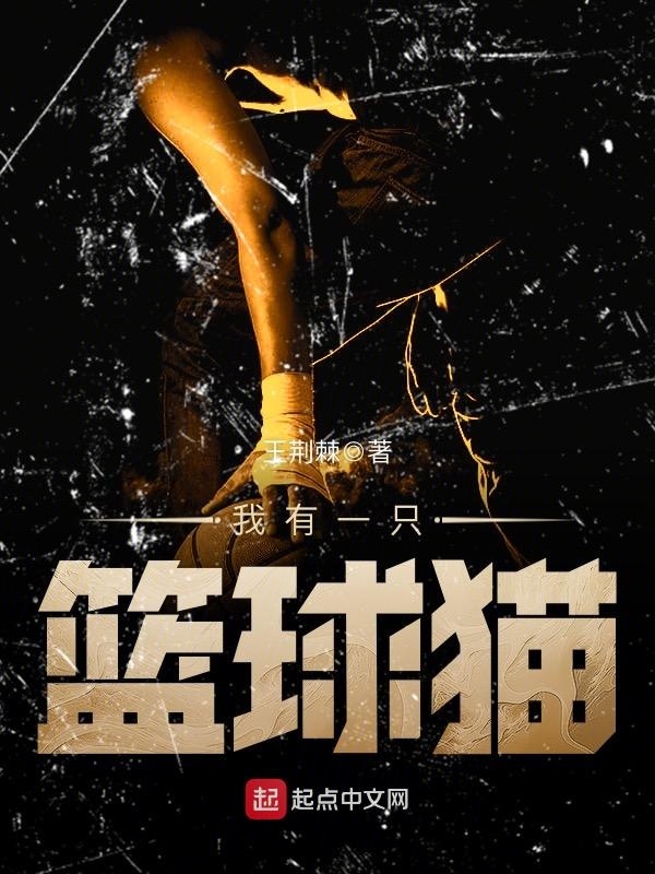 我有一隻籃球貓小說