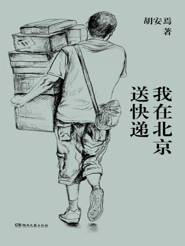 我在北京送快遞小說