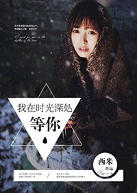我在時光深處等你小說