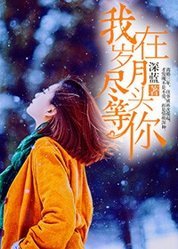 我在歲月盡頭等你小說