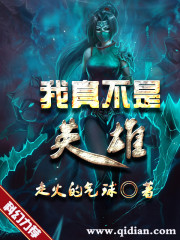 我真不是英雄小說