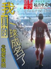 我真的一球成名了小說