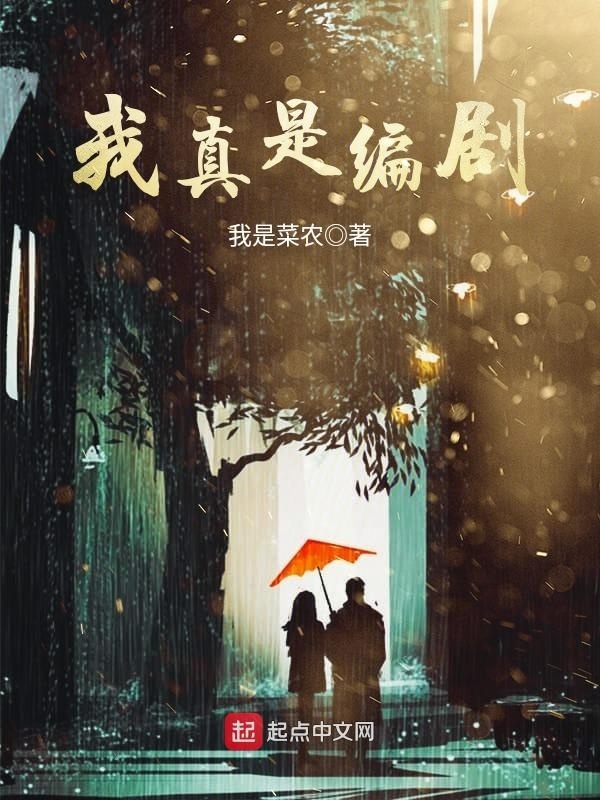 我真是編劇小說