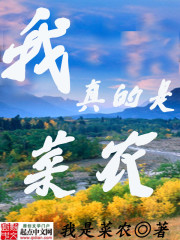我真是菜農小說
