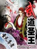 武道聖王小說