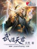 武道天君小說