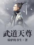 武道天尊小說