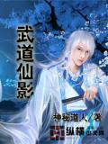 武道仙影小說