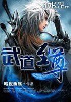武道至尊小說