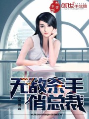 無敵殺手俏總裁小說