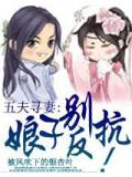 五夫尋妻:娘子別反抗!小說