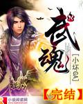 武魂(小壞GA)小說