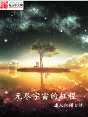 無盡宇宙的征程小說