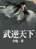 武逆天下小說