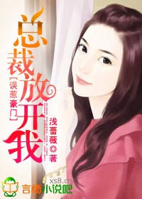 誤惹豪門：總裁放開我小說