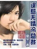 誤惹無情冷總裁小說