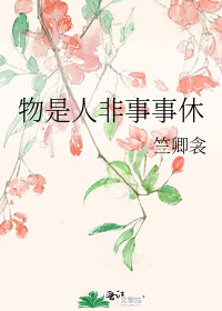 物是人非事事休小說